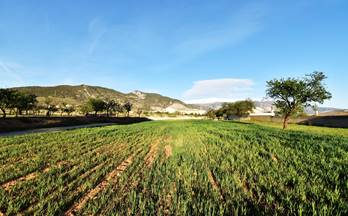 63 terrenos y fincas en venta lecrin