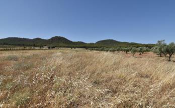 venta terrenos solares padul south of spain