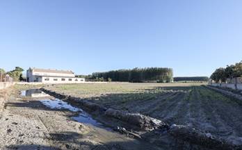 64 casas en venta chauchina