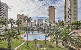 alquiler piso el campello playa muchavista