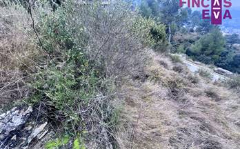 5 terrenos y fincas en venta bages barcelona