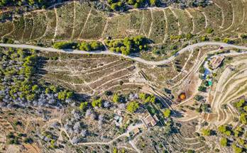 181 terrenos y fincas en venta benissa