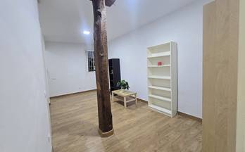 alquiler estudio madrid capital centro