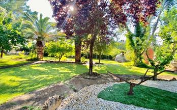 4 casas en venta ciudad real provincia