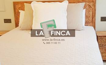 alquiler apartamento oviedo parque de invierno