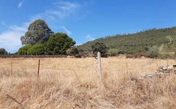 venta terrenos solares casas de millan extremadura