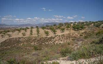 venta terrenos solares alhendin alhedin