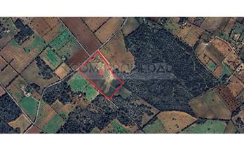 venta terrenos solares llucmajor 