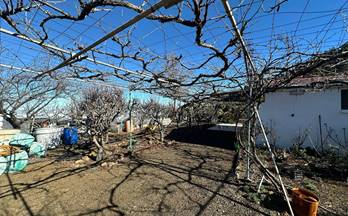 11 casas en venta vega de san mateo