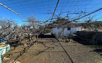 14 casas en venta tejeda