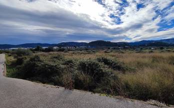 57 terrenos y fincas en venta villalonga