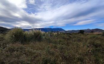 69 terrenos y fincas en venta daimus