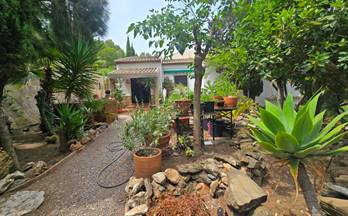 153 casas en venta mezquitilla