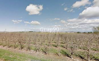 27 terrenos y fincas en venta albatarrec