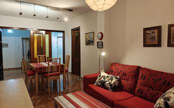 alquiler piso granada avenida andaluces