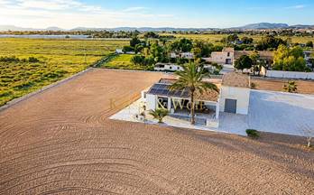 119 casas en venta torrellano