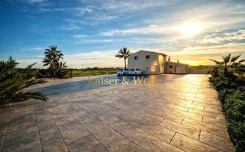 239 casas en venta torrellano