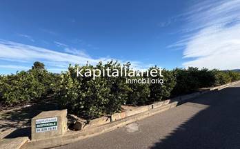 60 terrenos y fincas en venta beniganim