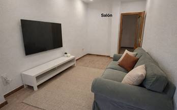 7 pisos en alquiler elche elx