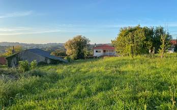 10 terrenos y fincas en venta cambre