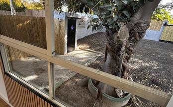 2 casas en alquiler murcia provincia