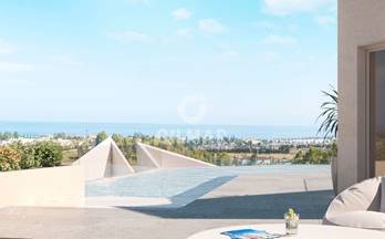 492 venta de pisos con terraza en marbella
