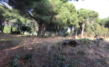 9 terrenos y fincas en venta canet de mar
