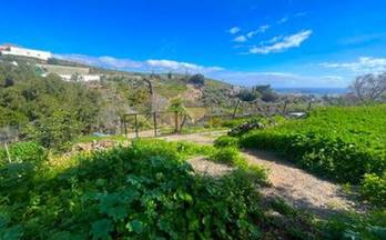 2 terrenos y fincas en venta telde