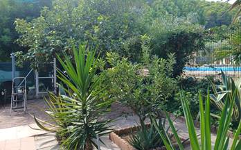 7 terrenos y fincas en venta cullera