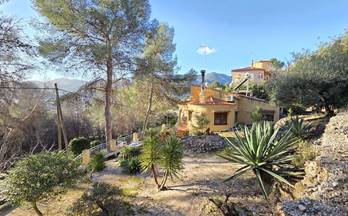 178 casas en venta piles