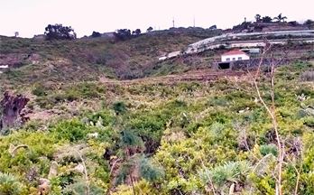 venta finca rustica san juan de la rambla mazapé