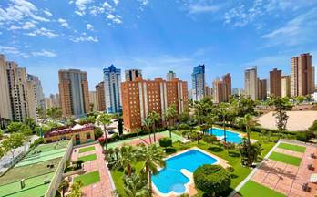 790 pisos en venta el albir