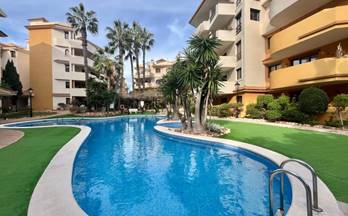 venta apartamento torrevieja playa del acequion, naufragos 