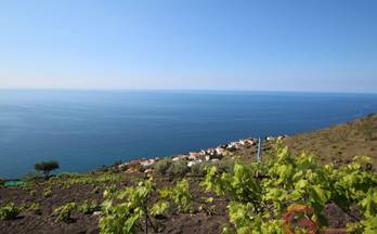 134 terrenos y fincas en venta motril