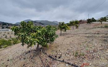 venta finca rustica itrabo vega baja