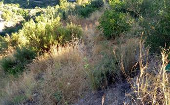 135 terrenos y fincas en venta lobres