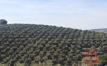 venta finca rustica alhama de granada muniz