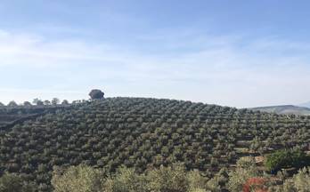 venta finca rustica castril castril