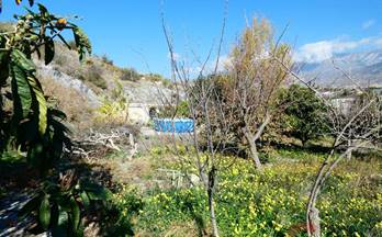 venta finca rustica motril los tablones