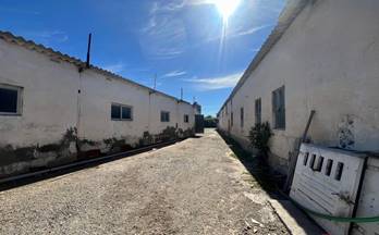 venta finca rustica motril rambla de las brujas
