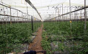 145 terrenos y fincas en venta itrabo