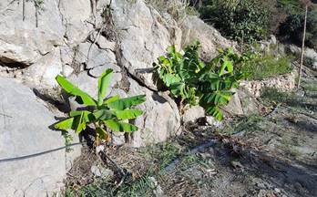 venta terrenos solares velez de benaudalla las zorreras