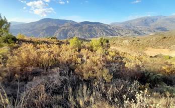 42 terrenos y fincas en venta lanjaron