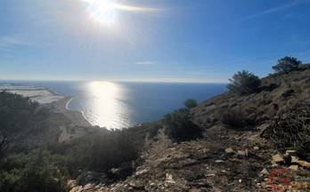 venta terrenos solares torrenueva todas