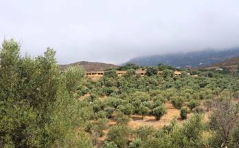 venta finca rustica lanjaron centro