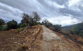 venta finca rustica lanjaron centro