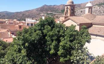 venta casa unifamiliar velez de benaudalla alta