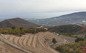 venta terrenos solares molvizar los palmares