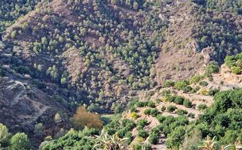 venta terrenos solares los guajares guajar fondon