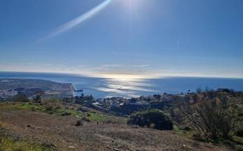 123 terrenos y fincas en venta los guajares